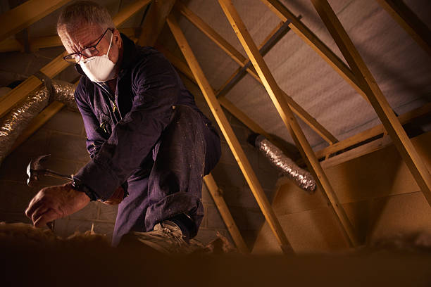 Best Cellulose Insulation in Hewitt, NJ