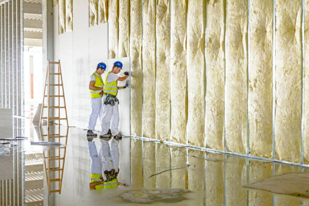 Best Commercial Insulation in Hewitt, NJ
